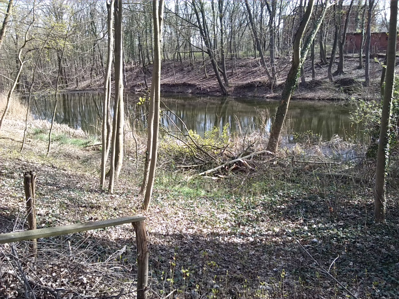 13-Blick Auf Unteren Kreuzer Teich Von Nordosten Nach Südwesten (1a)