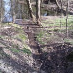 14-Blick Von Mittleren Kreuzer Teich Über Abfluss Zu Unteren Kreuzer Teich (2a)