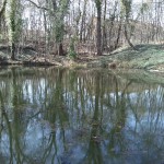 15-Blick Zum Mittleren Kreuzer Teich Von Südwesten (1a)