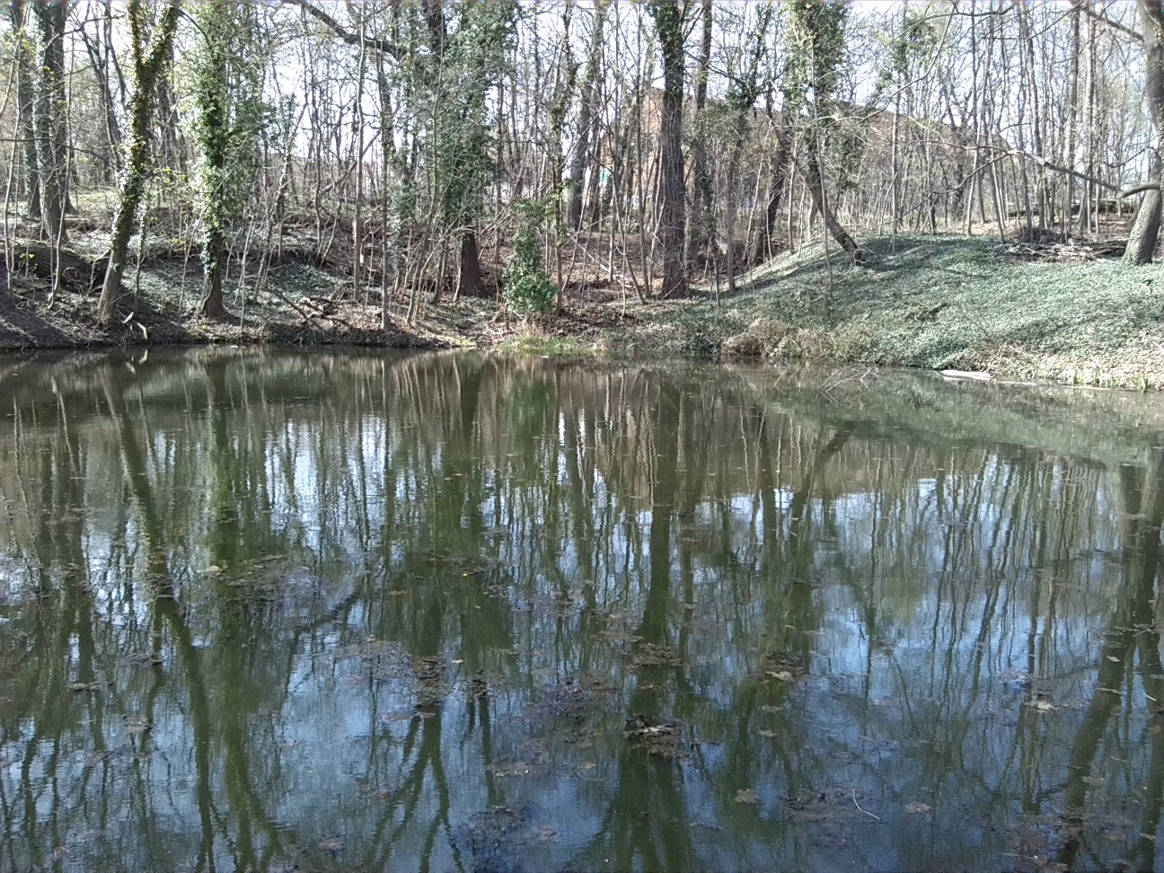 15-Blick Zum Mittleren Kreuzer Teich Von Südwesten (1a)