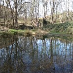 16-Blick Zum Oberen Kreuzer Teich Von Süden (1a)