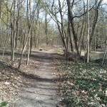 18-Weg Vom Oberen Kreuzen Teich Nach Süden Blick Zu Mittleren & Unteren Kreuzer Teich (2a)