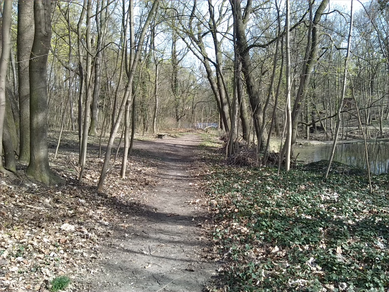 18-Weg Vom Oberen Kreuzen Teich Nach Süden Blick Zu Mittleren & Unteren Kreuzer Teich (2a)