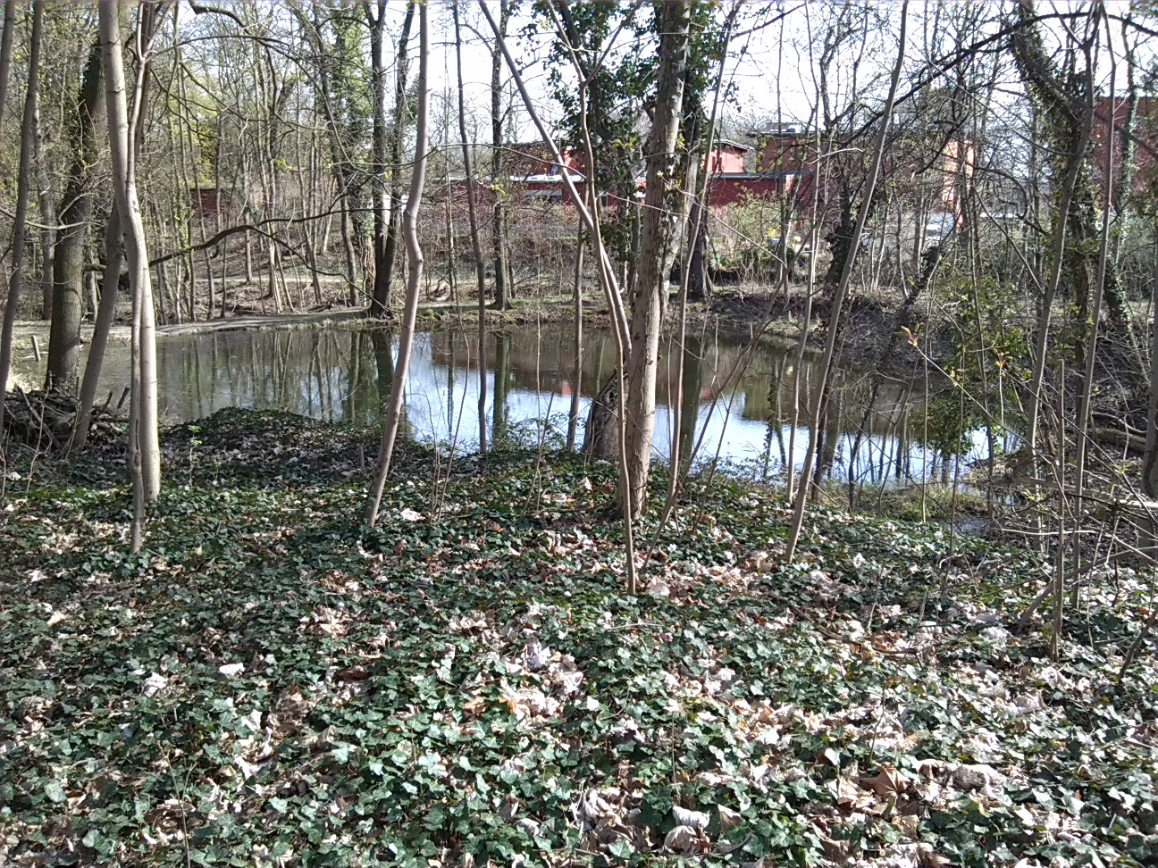 19-Blick Zum Mittleren Kreuzer Teich Nach Südwesten (1a)