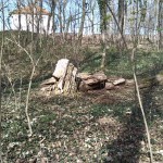 20-Totholz Im Wald Nördlich Unteren Kreuzer Teich (2a)