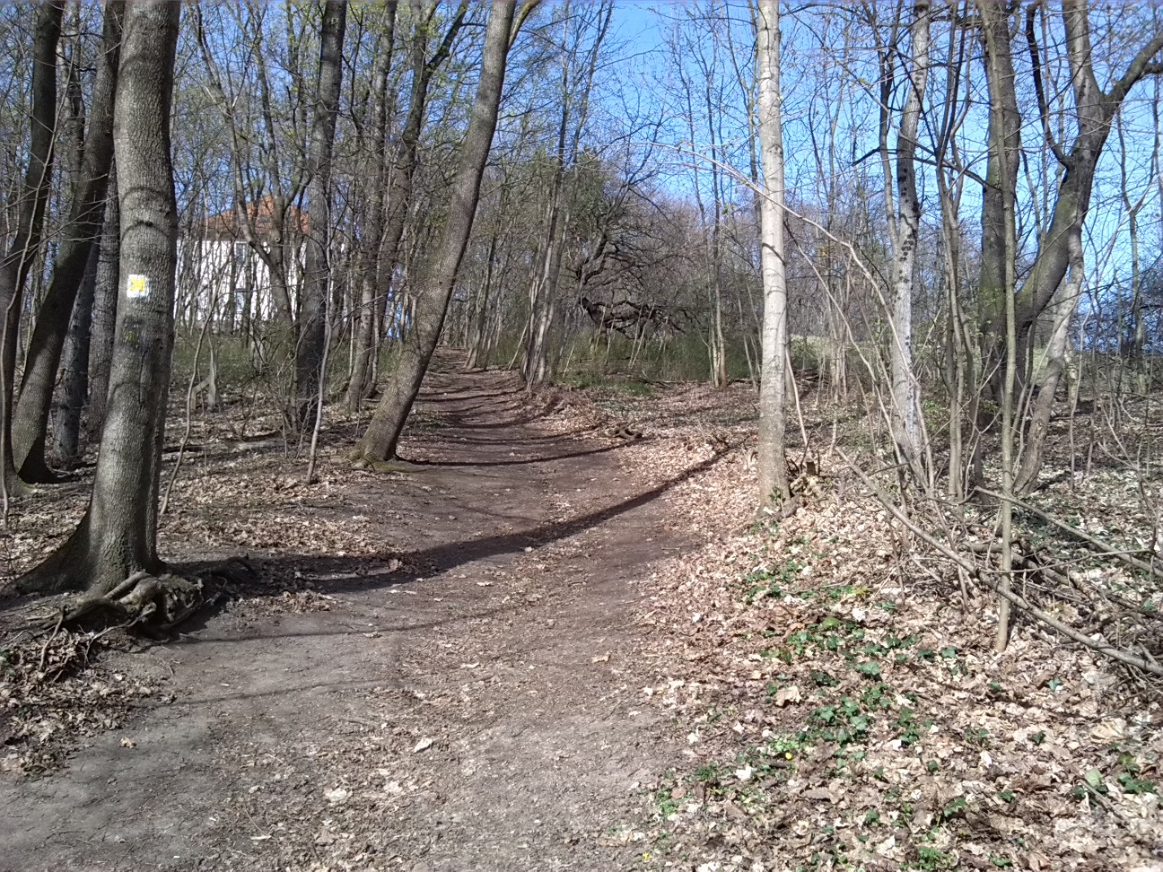 22-Weg Vom Amselgrund Zu Hoher Weg (2a)
