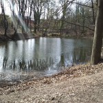 23-Blick Zum Unteren Kreuzer Teich (2a)