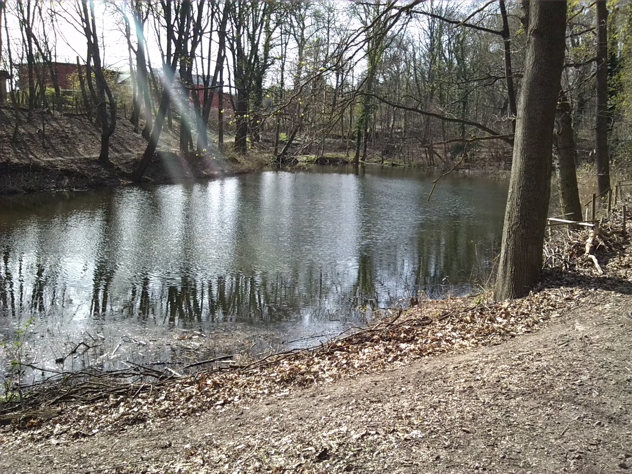 23-Blick Zum Unteren Kreuzer Teich (2a)