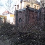 23a-Pauluspark Westeingang Schleiermacherstraße Abholzungen Bergahorn südlich Angrenzend (1)