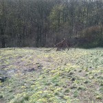 25-Trockenrasen & Schluchtwald Amselgrund (2a)