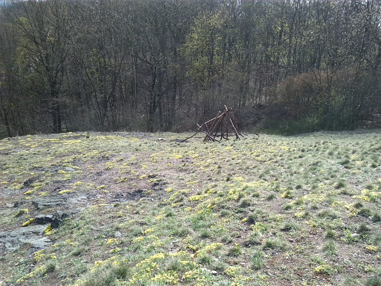 25-Trockenrasen & Schluchtwald Amselgrund (2a)