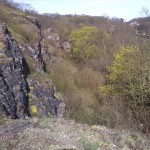 28-Blick Nach Nordosten Zu Felsfluren & Hangwald Amselgrund (1a)