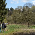 28-Streuobstwiese Östlich Braunsche Lache Blickachse Süd Nord