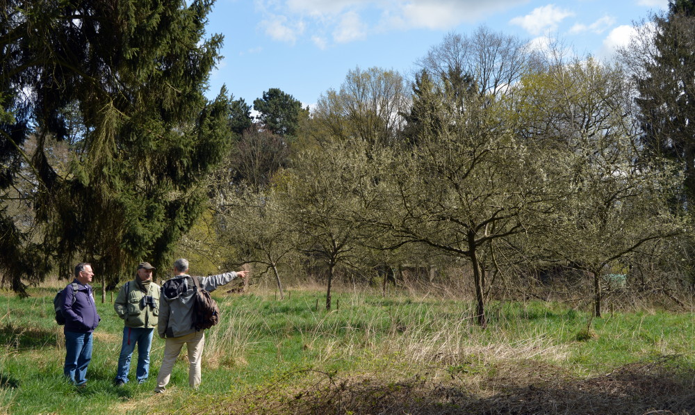 28-Streuobstwiese Östlich Braunsche Lache Blickachse Süd Nord