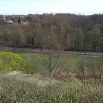 29-Blick Nach Süden Über Amselgrund & Wilder Saale Zum NSG Peißnitznordpitze (2a)