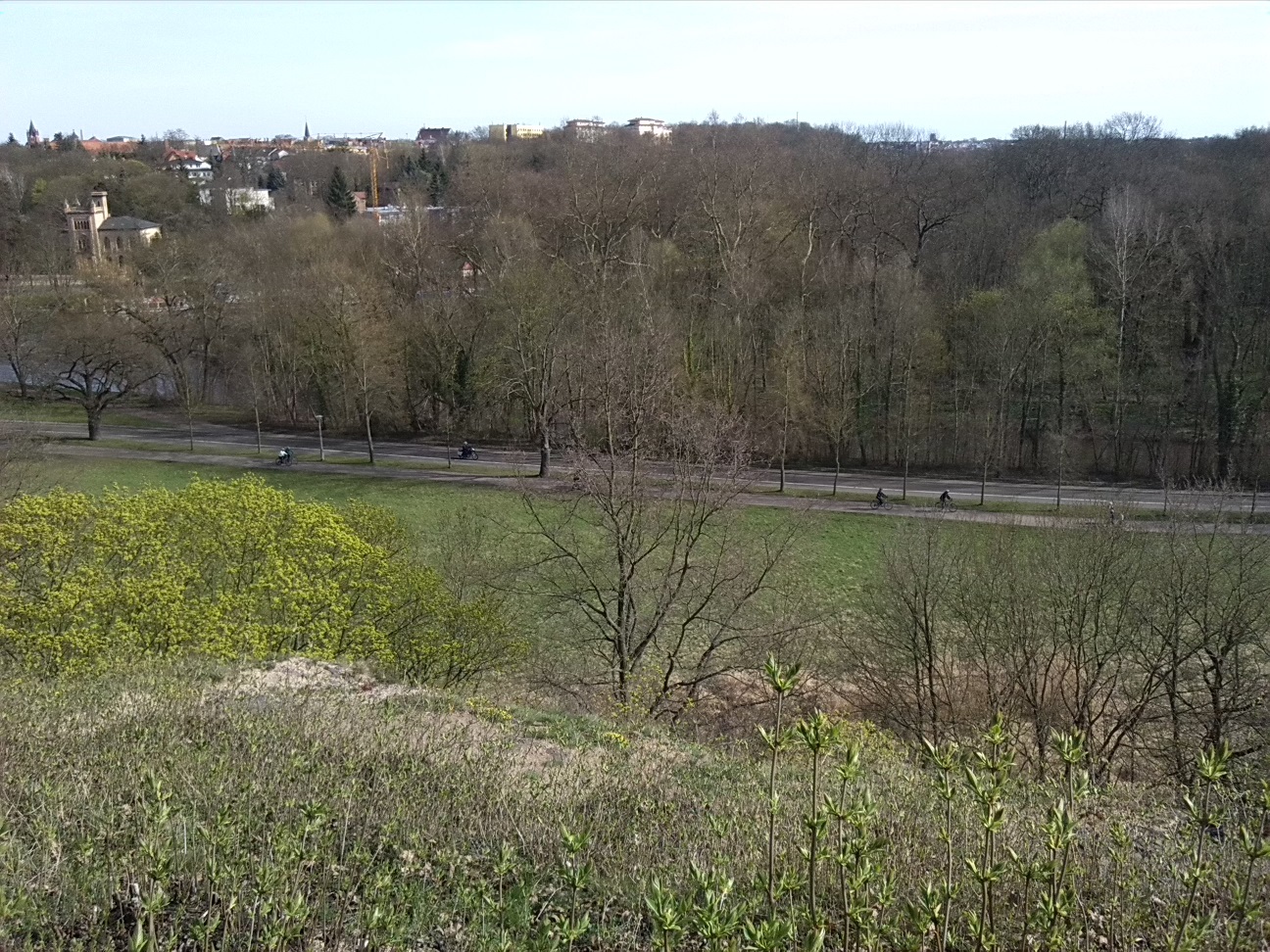 29-Blick Nach Süden Über Amselgrund & Wilder Saale Zum NSG Peißnitznordpitze (2a)