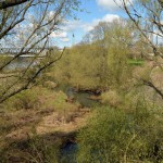 3-Blick Von B184 Nach Westen Auf Mündungsgebiet Rossel