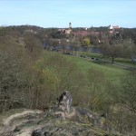 33-Blick Von Felsfluren Am Amselgrund Über Saale Zu Burg Giebichenstein Nach Osten (1a)