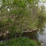 33-Halle-Saale-Schleife Mündung Saugraben In Saale Blick Nach Norden