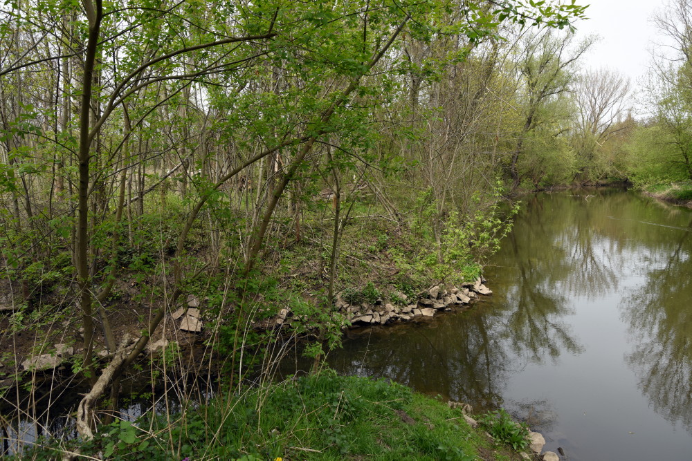 33-Halle-Saale-Schleife Mündung Saugraben In Saale Blick Nach Norden