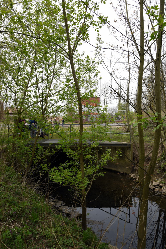 34-Halle-Saale-Schleife Mündung Saugraben In Saale Blick Nach Westen