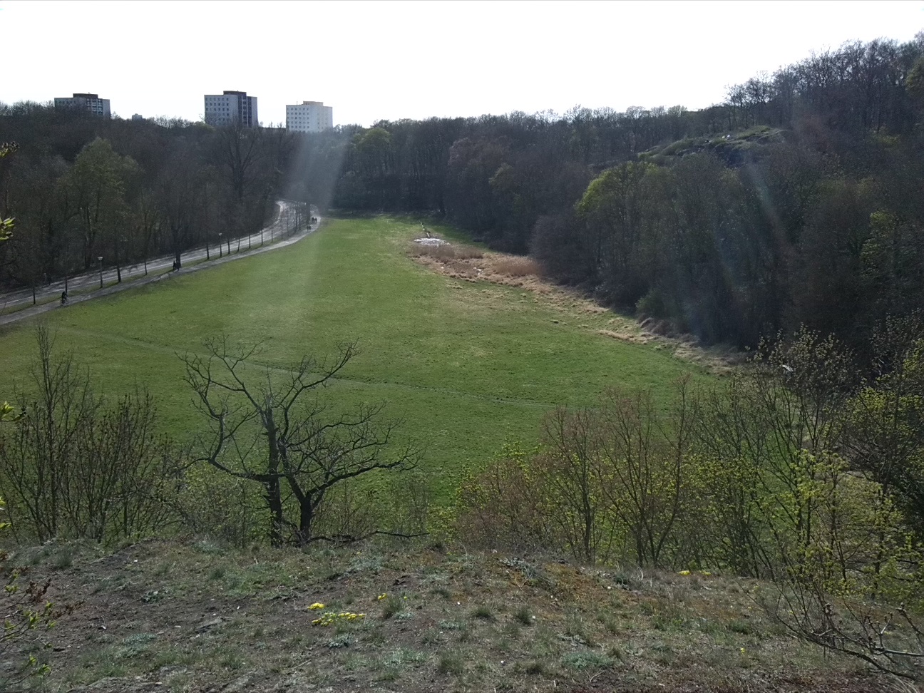37-Felsen Unweit Hoher Weg Blick Nach Westen Zu NSG Peißnitznordspitze & Amselgrund (1a)