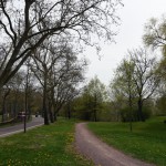 37-Heideallee Blick Von Übergang Halle-Saale-Schleife