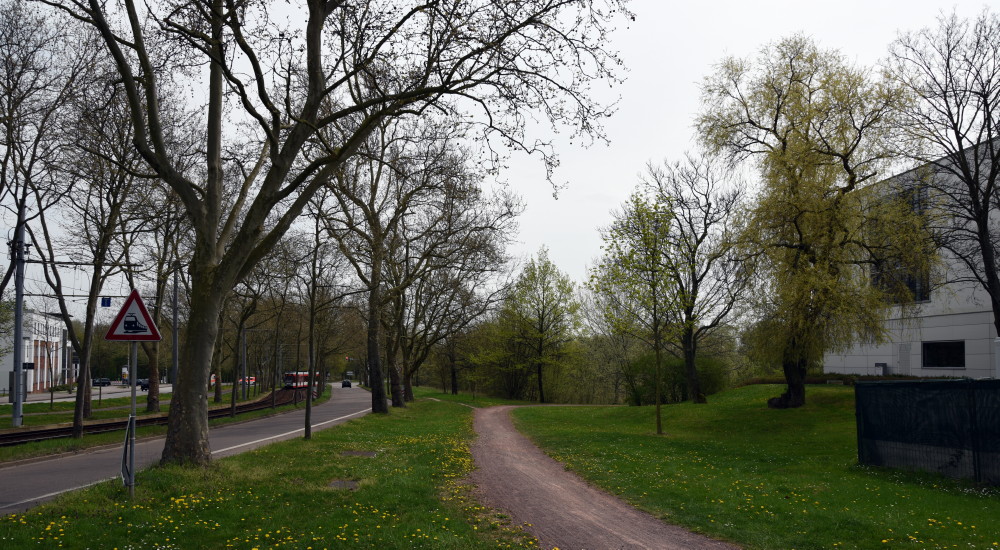 37-Heideallee Blick Von Übergang Halle-Saale-Schleife