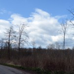 45-Weg Zu Großen Mückenberge Nordöstlich Fließgraben Blick Nach Nordwesten