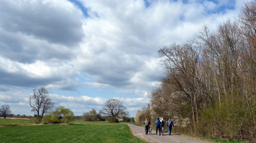 47-Weg Zu Großen Mückenberge Nordöstlich Fließgraben Blick Nach Nordwesten
