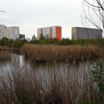 48-Mittelteil Saugraben Teiche Westlich Weinbergwiesen Blick Nach Südwesten Halle-Neustadt