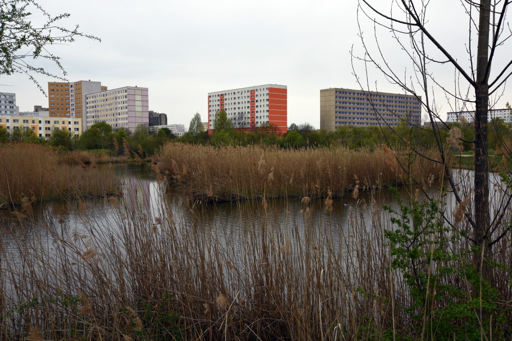 48-Mittelteil Saugraben Teiche Westlich Weinbergwiesen Blick Nach Südwesten Halle-Neustadt