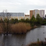 49-Mittelteil Saugraben Teiche Westlich Weinbergwiesen Blick Nach Südwesten Halle-Neustadt