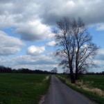 51-Große Mückenberge Blick Nach Südosten