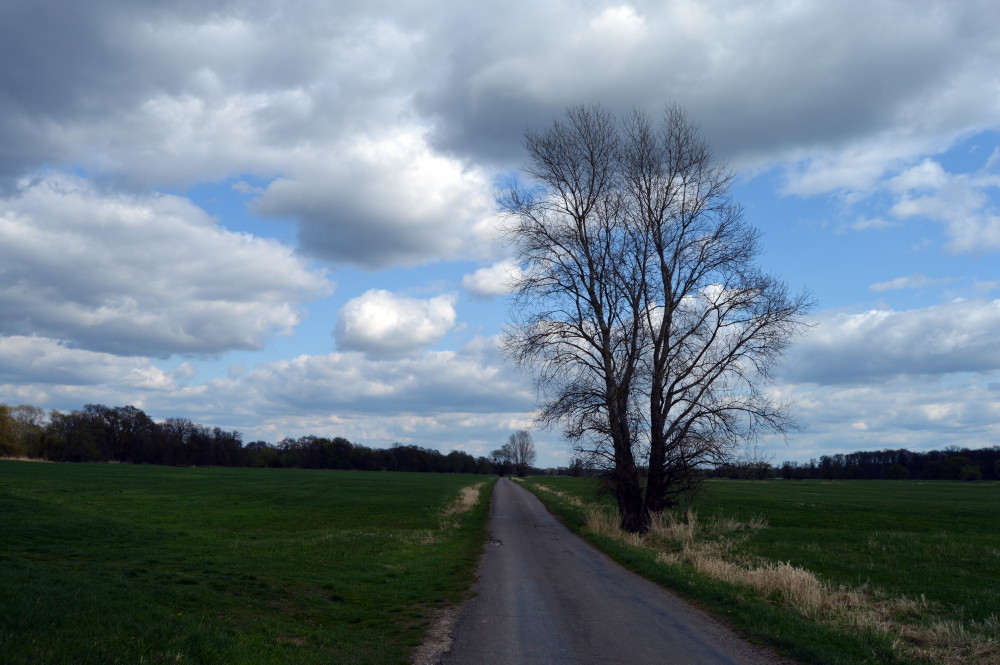 51-Große Mückenberge Blick Nach Südosten