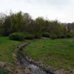 51-Saugrabental Nördlich Lise-Meitner-Straße Blick Nach Nordwesten