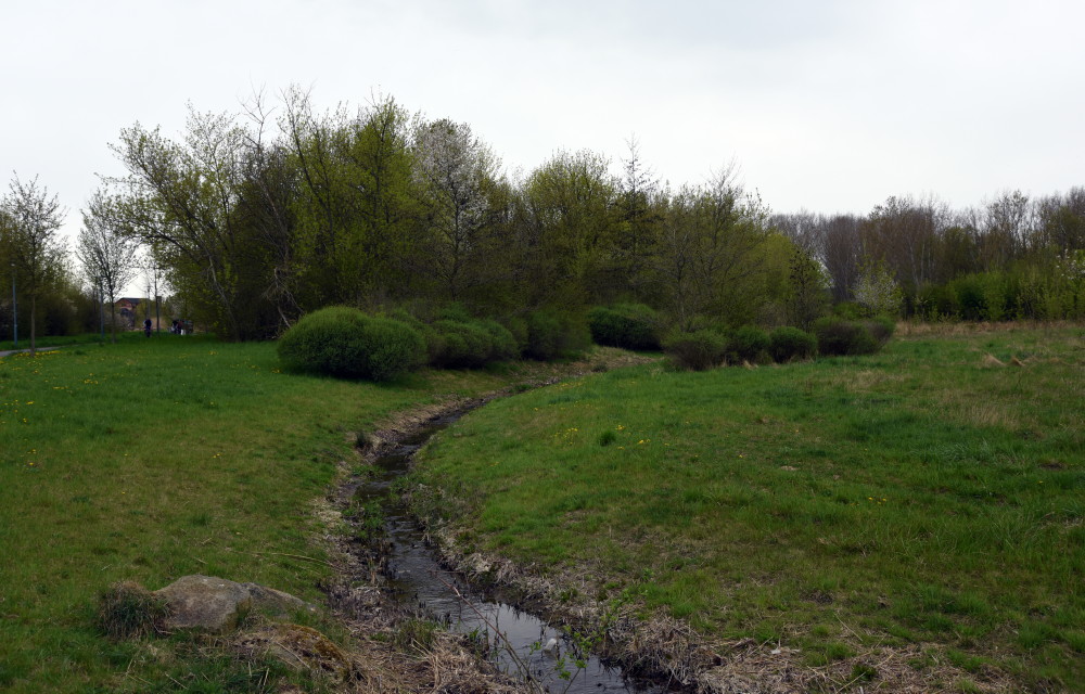 51-Saugrabental Nördlich Lise-Meitner-Straße Blick Nach Nordwesten