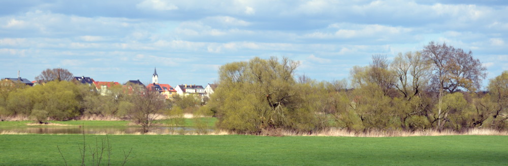 52-Große Mückenberge Blick Nach Norden Nach Rosslau
