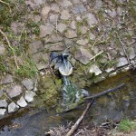 52-Saugrabental Nördlich Lise-Meitner-Straße Einlauf Vom Überlauf Aus Graebsee