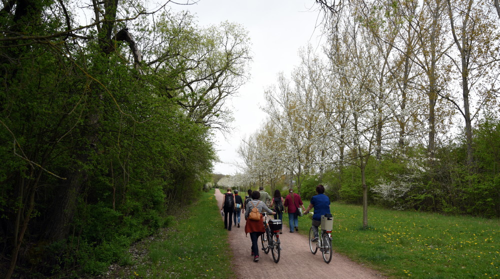 56-Ostrand Dölauer Heide Westgrenze Heide Süd