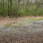 58-Dölauer Heide Herthateich Blick Von Südwesten