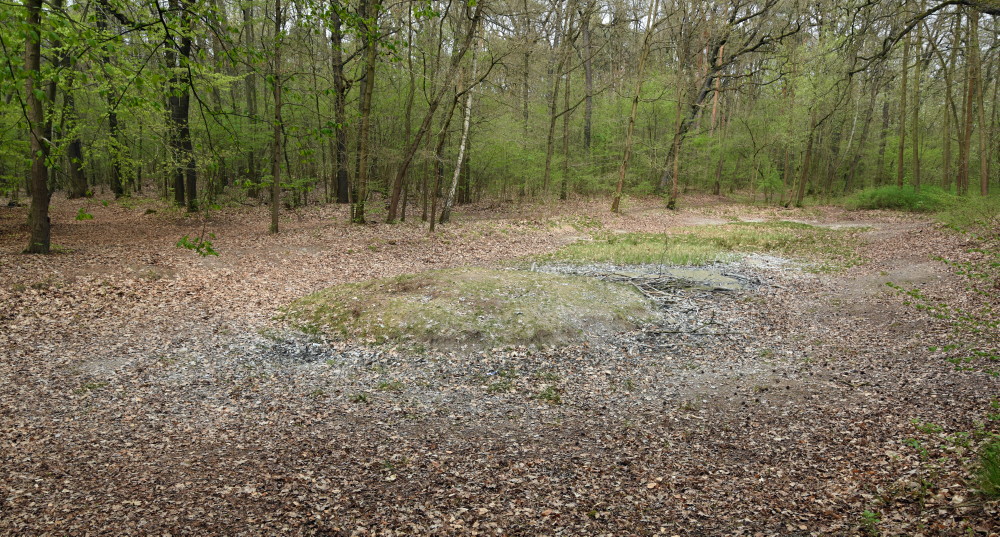58-Dölauer Heide Herthateich Blick Von Südwesten