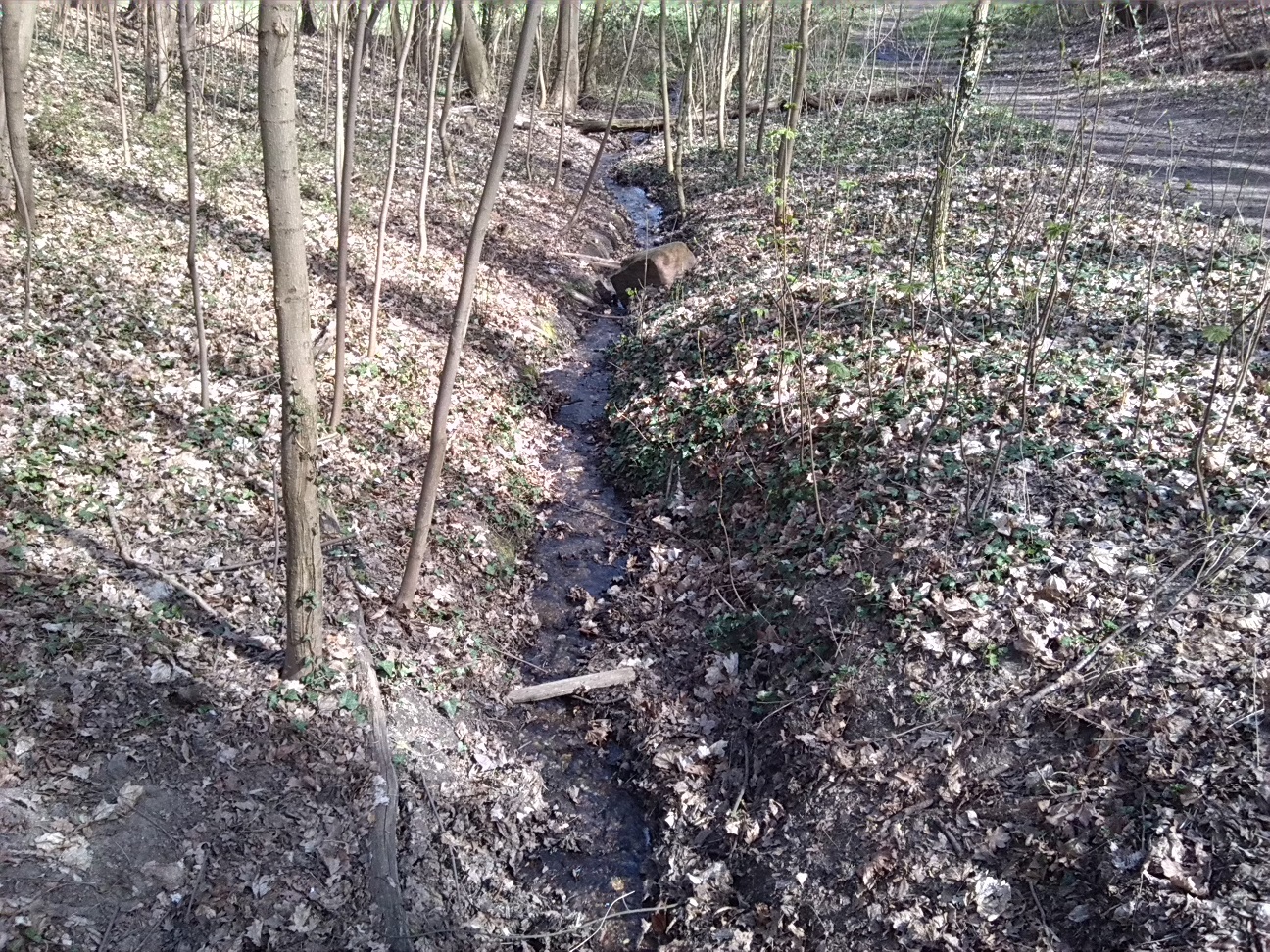 8-Abfluss Von Unteren Kreuzer Teich Unterer Teil Blick Nach Süden (2a)