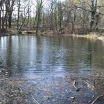 9-Blick Zum Unteren Kreuzer Teich Von Süden (2a)