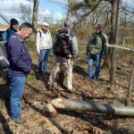 9-Roteichen Unweit Südufer Mulde & Östlich B184 Biberfrass