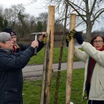 Bäume pflanzen statt abholzen zum Karfreitag (15)