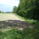 10a-Köthen Altköthen Blick Von Dessauer Straße B185 Nach Osten Zu Acker & Ziethe & Nordrand Ziethe Busch (2)