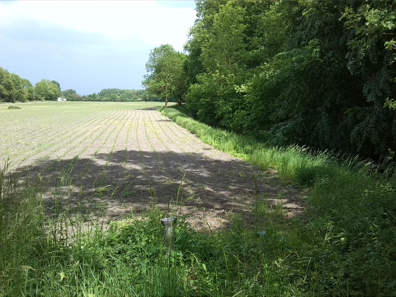 10a-Köthen Altköthen Blick Von Dessauer Straße B185 Nach Osten Zu Acker & Ziethe & Nordrand Ziethe Busch (2)