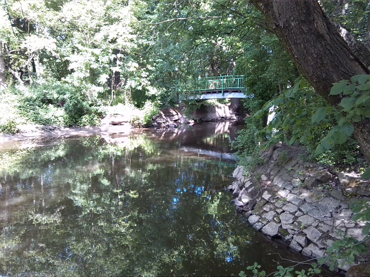 10a-Sandanger Verschüttete Wilde Saale Blick Über Wilde Saale Flußaufwärts Zu Gimritzer Park & Schafbrücke Nach Norsdosten (2)
