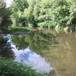 11a-Sandanger Verschüttete Wilde Saale Blick Von Westlich Der Schafbrücke Wilde-Saale Flussabwärts & Zum Gimritzer Park Nach Norden (1)